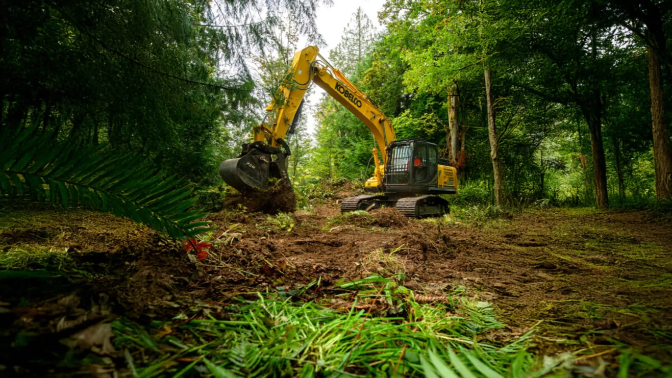 Excavator with a grapple clearing brush on a green wooded lot